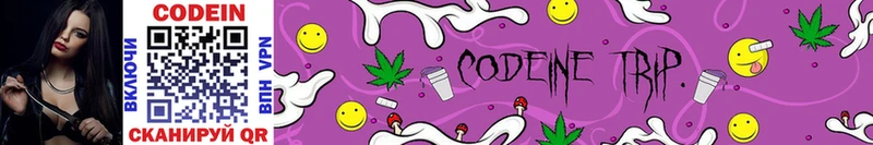 как найти закладки Лесозаводск Codein Purple Drank