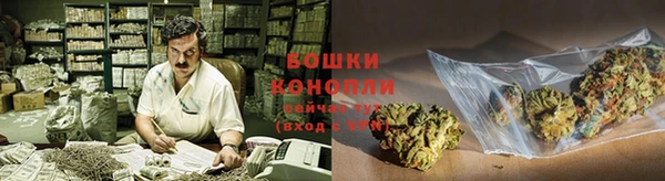 эйфоретик Баксан