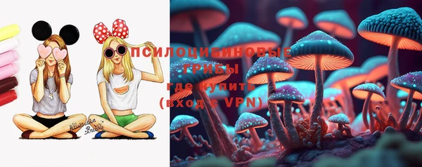 эйфоретик Баксан