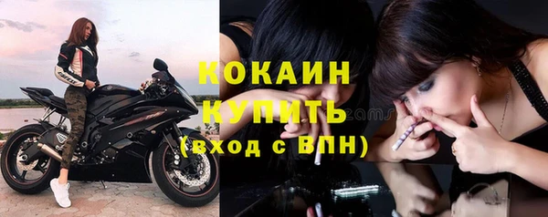 эйфоретик Баксан