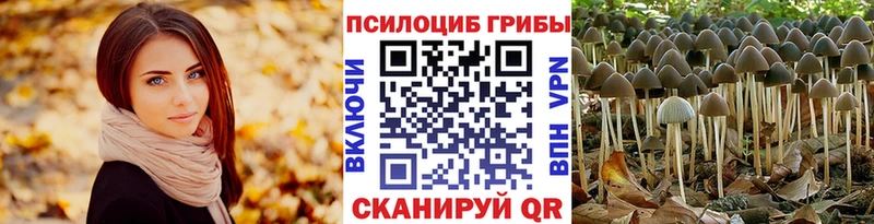 купить наркотик Лесозаводск Галлюциногенные грибы Cubensis